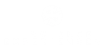 Science experience - Logo
